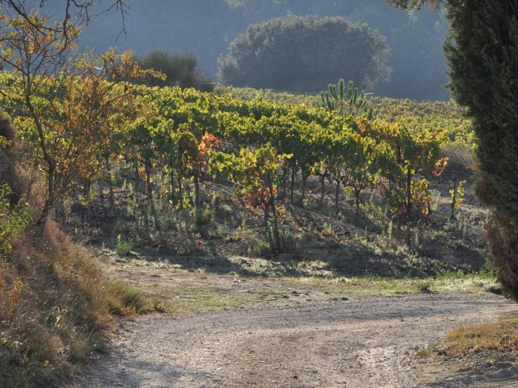 ホテルDomaine Saint Victor La Tour-dʼAigues エクステリア 写真
